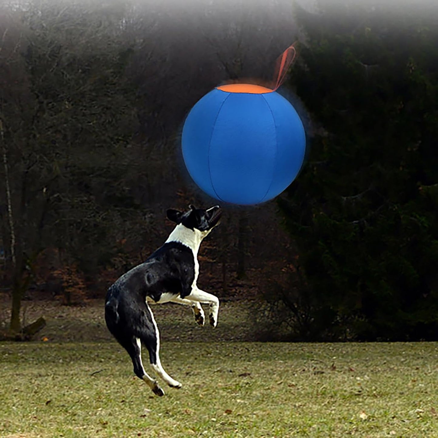 Large Dog Ball Toys, Large Inflatable Dog Balls | Inflatable Big Ball Toys for Pets | Wear-Resistant Strengthening Toys, Puppy Toys 45x45x45cm/17.7x17.7x17.7 inches