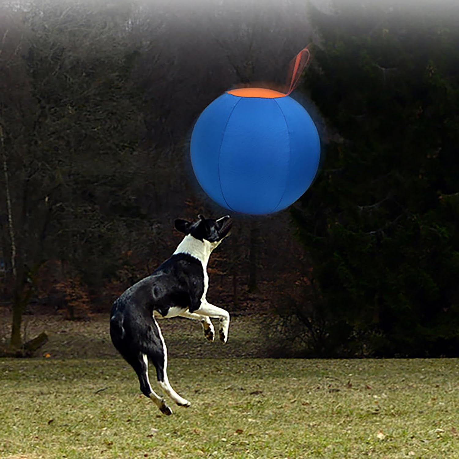 Large Dog Ball Toys, Large Inflatable Dog Balls | Inflatable Big Ball Toys for Pets | Wear-Resistant Strengthening Toys, Puppy Toys 45x45x45cm/17.7x17.7x17.7 inches