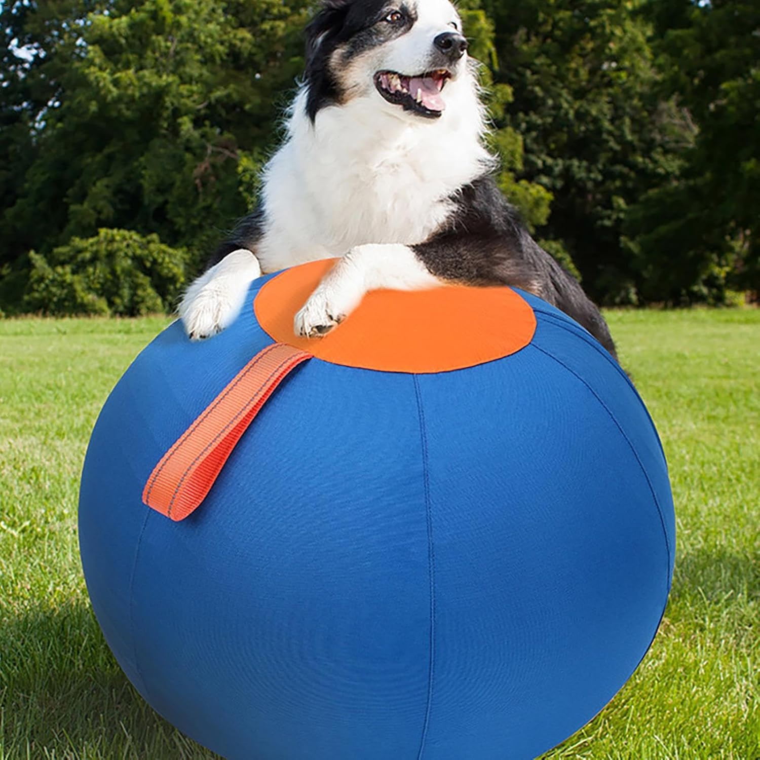 Large Dog Ball Toys, Large Inflatable Dog Balls | Inflatable Big Ball Toys for Pets | Wear-Resistant Strengthening Toys, Puppy Toys 45x45x45cm/17.7x17.7x17.7 inches