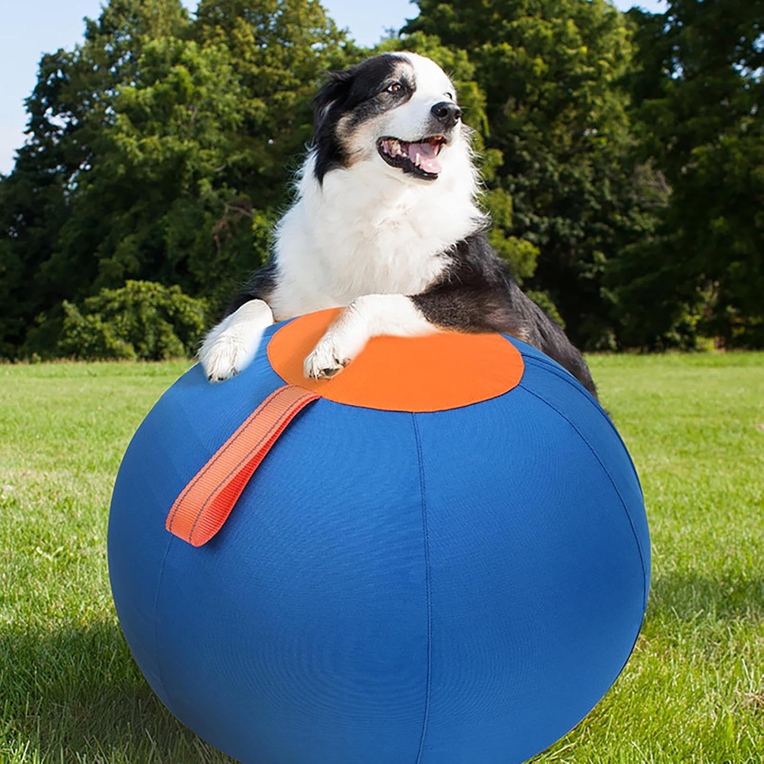 Large Dog Ball Toys, Large Inflatable Dog Balls | Inflatable Big Ball Toys for Pets | Wear-Resistant Strengthening Toys, Puppy Toys 45x45x45cm/17.7x17.7x17.7 inches